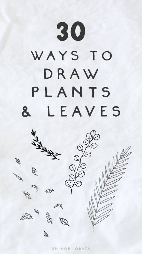 Shihori Obata, Draw Plants, Drawing Plants, Vine Drawing, Leaves Sketch, Leaves Doodle, Plant Sketches, Plant Doodle, Easy Draw