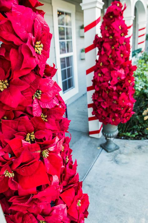 Make these Entryway Poinsettia Trees from @kennethwingard! Tune into #homeandfamily weekdays at 10/9c on Hallmark Channel! Tomato Cage Crafts, Poinsettia Tree, Tomato Cage Christmas Tree, Christmas Tree Flowers, Tomato Cages, Diy Holiday Decor, Christmas Porch, Holiday Diy, Christmas Deco