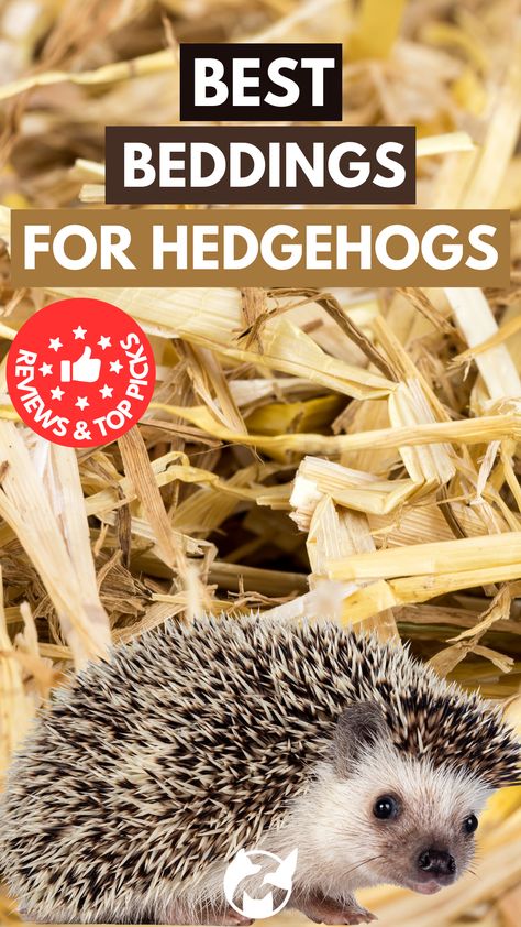 A basic rule for hedgehog bedding is to ensure it is absorbent and safe, and in this post, we’ll list our top 10 picks of the best hedgehog bedding based on reviews to help you narrow down your search. Hedgehog Homes Ideas, Hedgehog Enclosure Ideas, Hedgehog Cage Ideas, Hedgehog Room, Hedgehog Habitat, Hedgehog Bedding, Hedgehog Cage, Hedgehog House, Hedgehog Pet