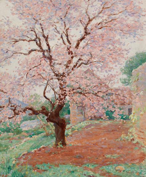 William Chadwick,  (American, 1879 - 1962),  The Cherry Tree (The Cherry Blossoms),  early 20th century,  Oil on canvas, Blossom Trees Painting, Cherry Blossom Oil Painting, Cherry Blossom Oil Pastel, Cherry Tree Aesthetic, Wisteria Nails, Cherry Tree Drawing, Cherry Tree Illustration, Korea Background, Cherry Blossom Tree Art