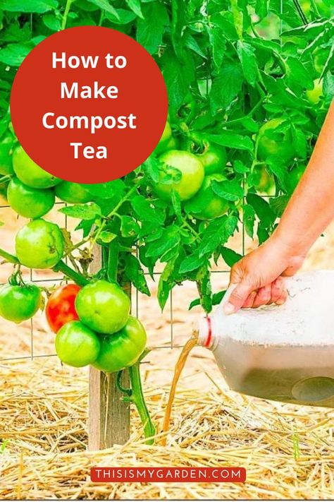 When it comes to creating and using the best all-natural organic fertilizer right at home, it’s hard to beat compost tea. Especially it is so easy to make! Compost tea is great for boosting the vitality of nearly any plant you can imagine - from vegetable plants, herbs, flowering annuals, perennials, shrubs, bushes, and more! See these tips & tricks on making your own compost tea so you can power your plants like never before this year! Home Made Compost, Homemade Compost, Make Compost, How To Make Compost, Vegetable Plants, Compost Tea, Liquid Fertilizer, Organic Fertilizer, Plant Roots