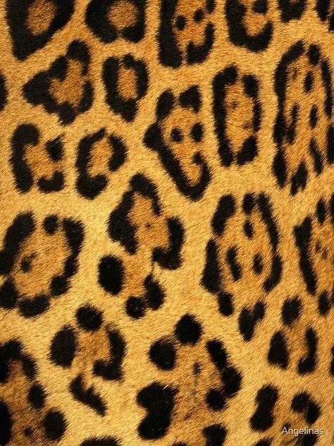 "Jaguar Print Animal Skin Fur Pattern" Mini Skirt for Sale by Angelinas | Redbubble Fur Pattern, Pattern Mini Skirt, Jaguar Print, Animal Print Fabric, Beauty Games, Animal Skin, Beauty Inspiration, Skirts For Sale, Fabric Patterns