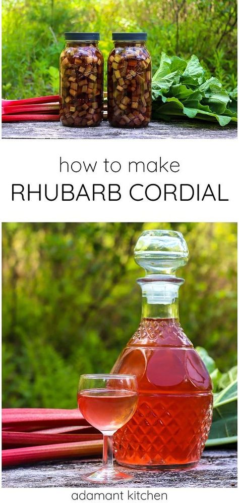 Rhubarb Liquor Recipe, Cordials Recipes Homemade, Rhubarb Alcohol Recipes, Rhubarb Cordial Recipe, Dehydrated Rhubarb Candy, Rhubarb Liqueur Recipes, Cordial Recipes, Rhubarb Liqueur, Allotment Recipes