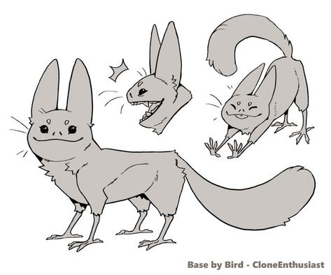 Loth Cat, Star Wars Species, Star Wars Drawings, Star Wars Tattoo, Star Wars Rpg, Star Wars Comics, Star Wars Images, Star Wars Rebels, Star Wars Memes