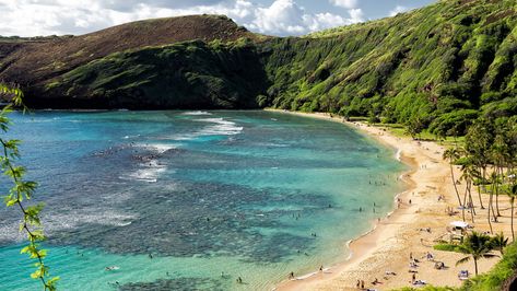 Hawaii Lifts Testing Requirement for Fully Vaccinated U.S. Travelers | Condé Nast Traveler Underwater Park, Hanauma Bay, Snorkel Set, Visit Hawaii, Conde Nast Traveler, Nature Preserve, Conde Nast, Island Travel, Hawaii Travel