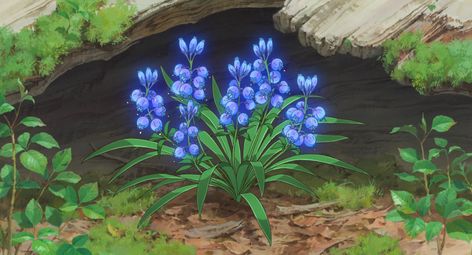 Imgur: The magic of the Internet Mary And The Witch's Flower, Art Studio Ghibli, Ghibli Studios, Anime Flower, Ghibli Artwork, Whatsapp Wallpaper, Flower Studio, Studio Ghibli Art, Violet Evergarden