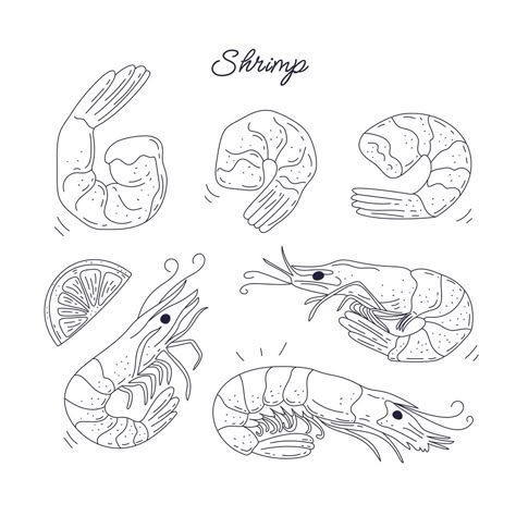 How To Draw A Crawfish Step By Step, How To Draw A Shrimp, Shrimp Tattoo Design, Seafood Doodle, Shrimp Drawing Simple, Shrimp Illustrations, Shrimp Drawing, Shrimp Tattoo, Seafood Illustration