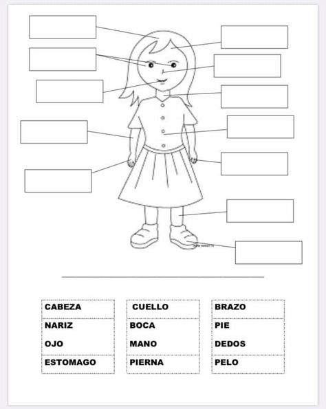 Parts Of The Body Worksheet Kindergarten, Body Names Parts, Our Body Worksheet Grade 2, Parts Of Our Body Worksheet, Parts Of The Body In Spanish, Body Parts In Spanish, Preschool Spanish Lessons, Spanish Projects, Preschool Spanish