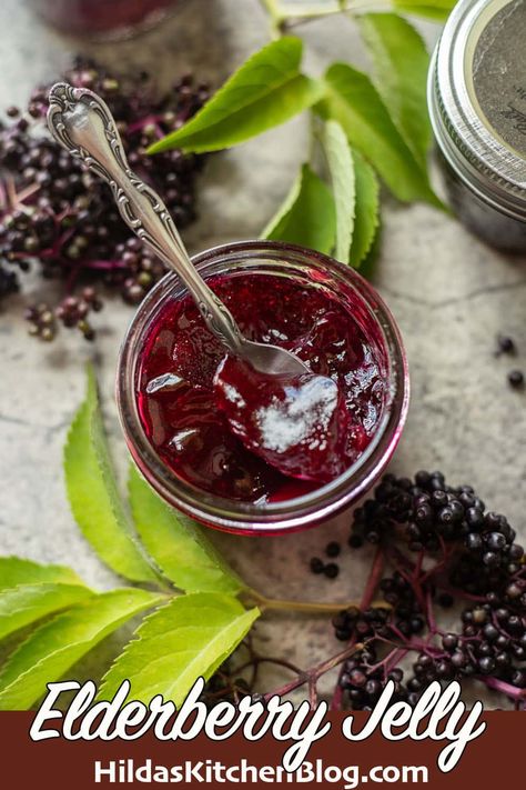 This elderberry jelly recipe really is the best! Making elderberry jelly is easy and the results are fantastic! It's tart, sweet, and has a distinct, delicious flavor! Elderberry Jelly Recipe Sure Jell, Elderberry Jam Recipe, Elderberry Jelly Recipe, Assyrian Recipes, Bbq Sauce Marinade, Elderberry Jelly, Elderberry Uses, Elderberry Wine, Making Jelly