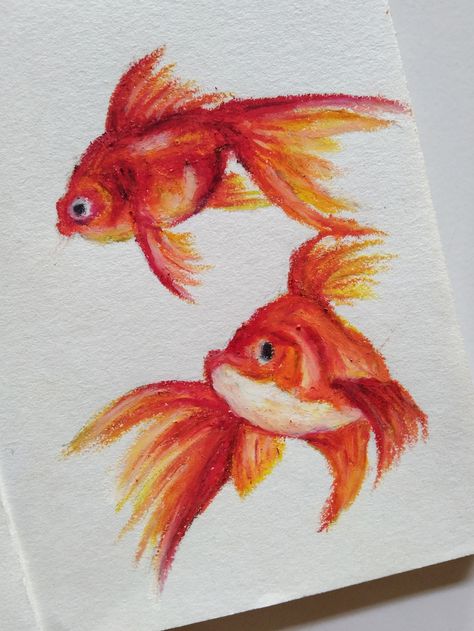 Colored Pencil Sea Animals, Koi Fish Oil Pastel, Artbook Design, Oil Pastel Drawings Easy, Drawing Stars, Fruits Drawing, Oil Pastel Art, Oil Pastel Drawings, Fish Drawings