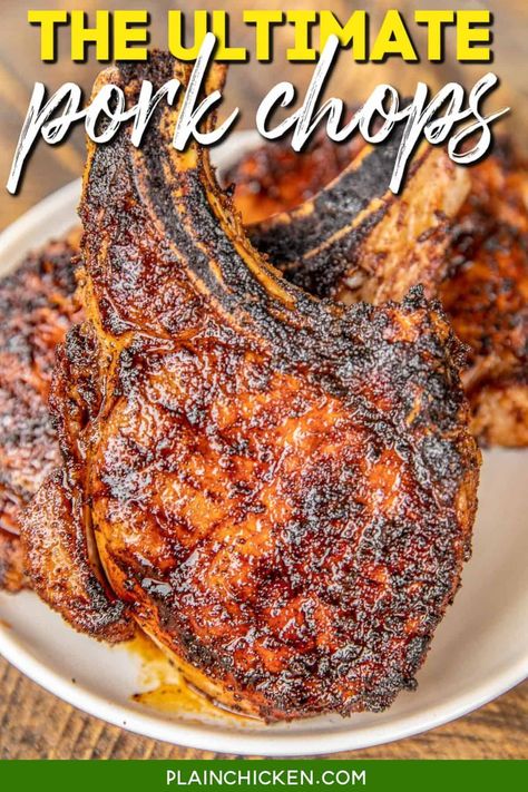 Favorite Grilled Pork Chops - the search is over. These are hands-down THE BEST pork chops!! SO easy and they taste amazing! Better than any restaurant! Pork chops marinated in worcestershire sauce, balsamic vinegar, soy sauce, olive oil, garlic, pepper and cayenne pepper. Let marinate overnight and grill for the BEST pork chops EVER. Such a quick and easy grilled pork recipe! Pork Chop Dry Rub, Pork Chop Brine Recipes, Marinated Pork Chops Grilled, Grilled Pork Chops Marinade, Brine For Pork, Pork Chop Brine, Pork Chop Marinade, Pork Chop Recipes Grilled, Smoked Pork Chops