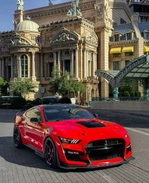 Ford Mustang Shelby Gt500 2023, Shelby Cobra Gt500, Nissan Skyline R35, Mustang Red, Mustang Shelby Cobra, Mustang Wallpaper, R35 Gtr, Fast Sports Cars, Ford Roadster