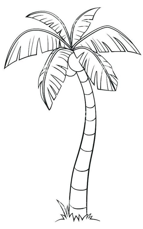 Ink Video, Palm Tree Sketch, Tree Drawing Simple, Palm Tree Drawing, Beach Drawing, Tree Palm, Tree Drawings Pencil, Tree Coloring Page, Tree Sketches