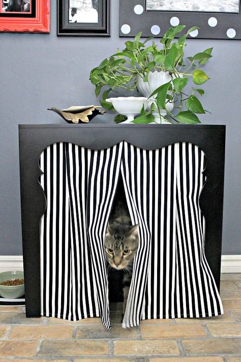 How to hide the litter box, Side table to hidden litter box Litter Box Privacy Screen, Litter Box Ideas Hidden, Cat Litter Box Ideas Hidden, Cat Litter Box Ideas, Litter Box Ideas, Hiding Cat Litter Box, Dimples And Tangles, Hidden Litter Boxes, Cat Litter Box Furniture