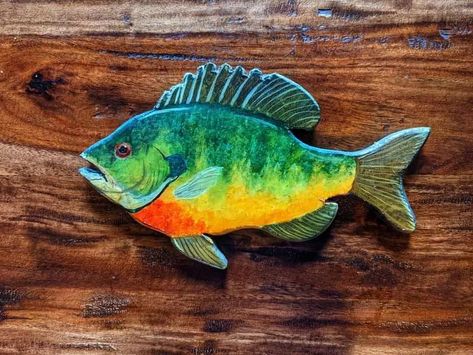 This is a bluegill fish that I carved from wood and painted as a fish “decoy.”  I appreciate your feedback and sharing my art with others.  prints/products: https://www.redbubble.com/shop/ap/78799591 What is your favorite kind of fish to catch?  . . . #mattstarrfineart #artistic #paintings #artforsale #artist #myart #dailyart #artlover #artwork #artoftheday #gift #giftideas #tshirts #homedecor #art  #bluegill #bluegills #fish #fishing #fisherman #panfish Painted Fish On Wood, Bluegill Fish, Painted Pallets, Wood Cravings, Trout Art, Fish Craft, Koi Fish Drawing, Sea Life Art, Fish Wall Decor