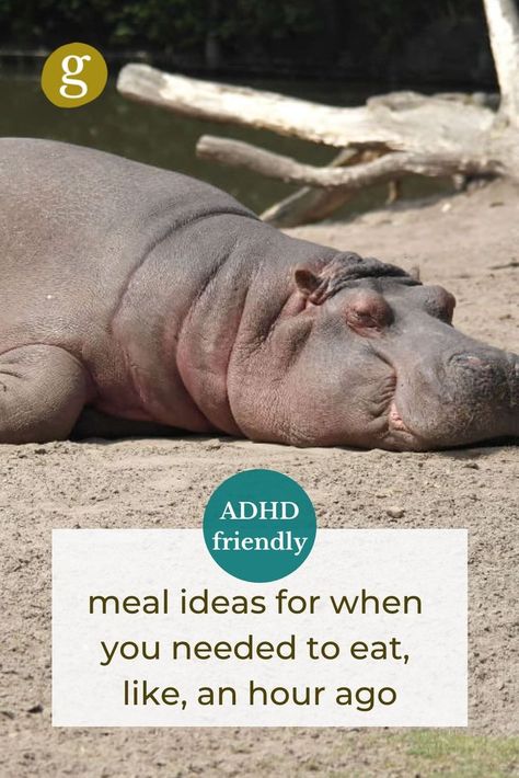 Text overlay reads "ADHD friendly meal ideas for when you needed to eat, like, an hour ago". Image is a very cute hippo looking absolutely exhausted beyond belief, laying splat on their stomach and looking off into the distance Low Effort Meals, Easy Meal Ideas, Easy Cooking, Meal Ideas, Meal Time, Cooking Tips, Health Food, Snack Recipes, Grapes