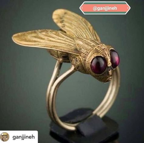 Amanda Joy Rubin (@amandajoyr) • Instagram photos and videos Medieval Rings, Almandine Garnet, Gold Rings Jewelry, Victorian Rings, Unusual Jewelry, Ancient Jewelry, Garnet Earrings, Victorian Jewelry, Art Deco Ring