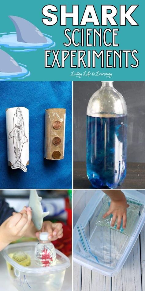 If you are looking for activities to add to your kid's homeschool summer and ocean science activities, these shark science experiments are a great addition to your list! Be sure to check out these fun activities for your kids as they get to know more about their favorite marine animals. Ocean Preschool Science, Shark Science Experiments For Kids, Shark Unit Study For Kids, Ocean Stem Activities For Preschool, Shark Week Ideas For Kids, Shark Stem Activities For Kids, Shark Kindergarten Activities, Shark Experiment, Ocean Experiments For Kids