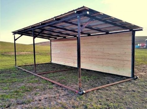 Loafing Sheds For Horses, Pasture Shelter, Cattle Corrals, Horse Shed, Livestock Barn, Livestock Shelter, Horse Farm Ideas, Cattle Barn, Loafing Shed