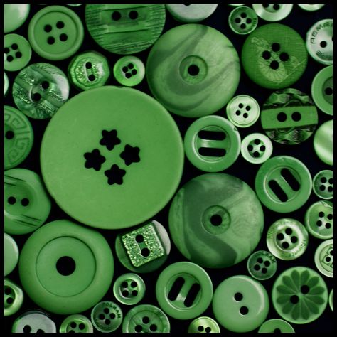 https://flic.kr/p/bnZ4hu | Green buttons | Our Daily Challenge ... buttons  I have a bag of buttons in "assorted bold colours". For this one I sorted out the green ones and arranged them so there were only small gaps between. The other shot shows the other colours in the bag arranged randomly. Mini Choses, Green Collection, Simple Green, Button Art, Antique Buttons, Button Crafts, Green Button, World Of Color, Green Aesthetic