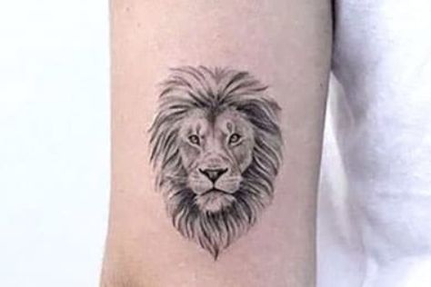 Fineline Lion Tattoo, Small Tattoo Designs For Women, Simple Lion Tattoo, Palm Size Tattoos, Small Lion Tattoo, Cool Ear Tattoos, Ear Tattoo Ideas, Forearm Band Tattoos, Lion Tattoos