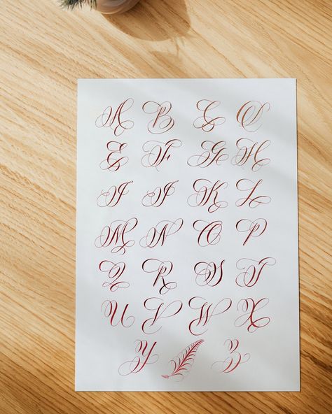 Flourishing Calligraphy Alphabet, Calligraphy Writing Styles, Alphabet Calligraphy, Tattoo Lettering Alphabet, Calligraphy Letters Alphabet, Flourish Calligraphy, Calligraphy Fonts Alphabet, Fancy Writing, Lettering Styles Alphabet