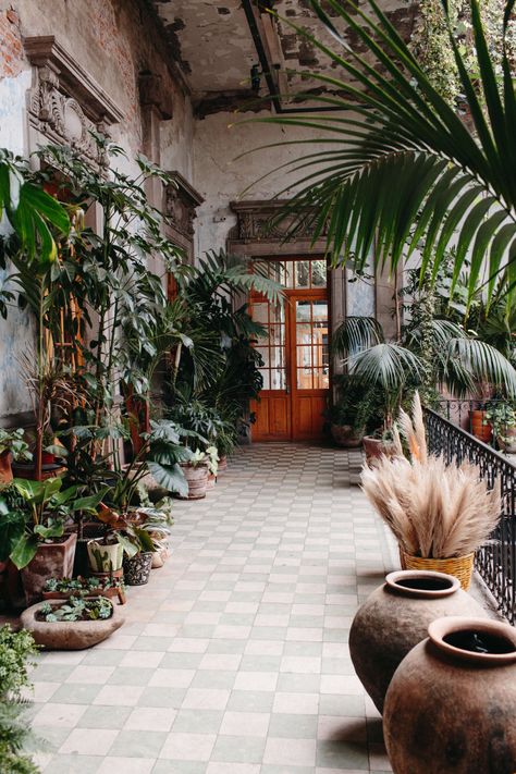 Mexico City Wedding Guide — Kelly Giarrocco Mexico City House, Moroccan Courtyard, Mexico City Wedding, Air Garden, Tropical Patio, Destination Wedding In Mexico, Wedding Minister, City Wedding Venues, Wedding In Mexico