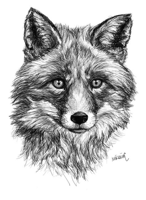 Fox Portrait Drawing, Animal Pen Drawings, Fox Drawing Realistic, Fox Drawing Sketches, Fox Drawings, Fox Sketch, Fox Tattoo Design, Pencil Drawings Of Animals, Fox Drawing