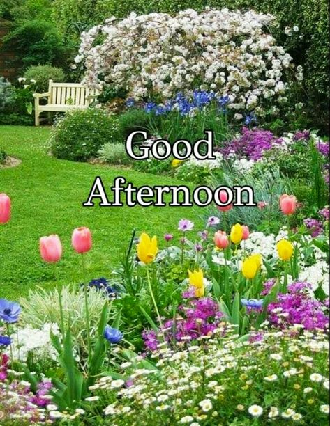 Good Afternoon Images For Whatsapp || Good Afternoon Wishes || Best Good Afternoon Images - Mixing Images Gud Afternoon Images, Good Afternoon Images Hd, Gud Afternoon, Good Afternoon My Love, Afternoon Pictures, Afternoon Greetings, Dobar Dan, Afternoon Messages, Good Afternoon Images