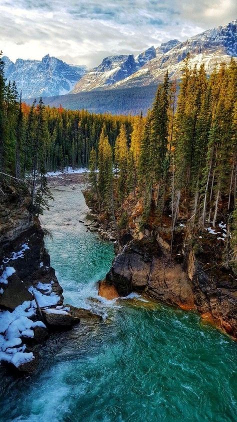 Sunwapta Falls, Jasper National Park Canada, Jasper Canada, Canada National Parks, Jasper National Park, Parks Canada, Travel Canada, Park Photography, Canadian Rockies