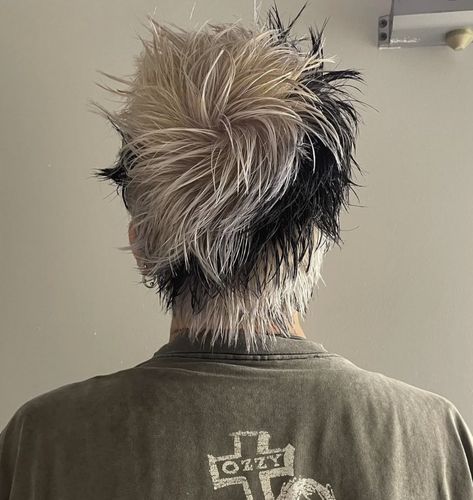 Dyed Male Hair, Hair Colorblocking, Very Short Dyed Hair, Mullet Hair Color, Short Skunk Hair, Skunk Hair, Shaved Hair Designs, Men Hair Color, Dyed Hair Inspiration