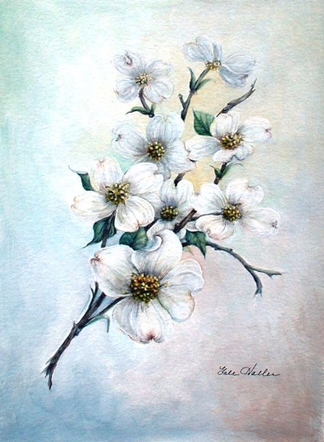 Dogwood Flower Painting, Dogwood Tree Painting, Dog Wood Flower Tattoo, Dogwood Painting, Dogwood Flower Tattoo, Wildflower Tattoos, Sketching Flowers, Dogwood Tattoo, Dogwood Flower Tattoos