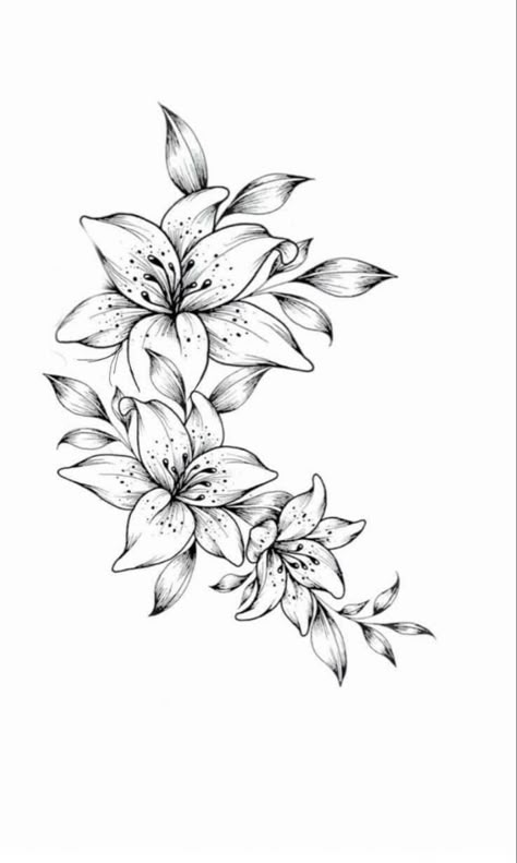 Lily Flower Vine Tattoo, Lily Flower With Hummingbird Tattoo, Azalea Line Drawing, Lily Thigh Tattoo Women, Lilly And Sunflower Tattoo, 3 Lily Tattoo Design, Jasmine Flowers Tattoo, Lilly Shoulder Tattoos For Women, Lily Tattoo On Thigh