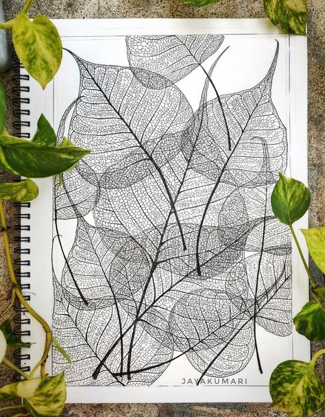 Micronpen Drawing Size: A3 Plant Drawings, Mark Making, Pencil Drawings, Line Art, Plant Leaves, Stuffed Mushrooms, Pencil, Illustrations, Drawings