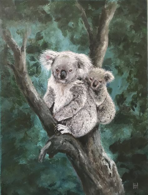 Koala Bear Painting, Koala Painting Acrylics, Koala Painting, Koala Drawing, Dove Painting, Australian Painting, Bear Paintings, Giraffe Art, Scenery Paintings