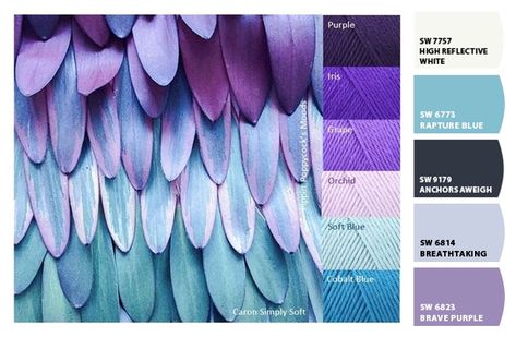 ColorSnap by Sherwin-Williams – ColorSnap by Jennifer C. Yarn Color Combinations, Purple Color Palettes, Color Schemes Colour Palettes, Purple Feather, Color Palette Design, Colour Board, Paint Colors For Home, Bluebird, Colour Schemes