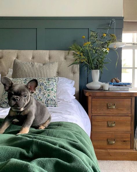 Farrow & Ball on Instagram: “#DeNimes + #AllWhite = a match made in heaven. Even Frank agrees. 📷 @the.squiffy.mill #FarrowandBall” Painted Headboard, Oval Room Blue, Cosy Night In, Wall Exterior, Farrow And Ball, A Match Made In Heaven, Match Made In Heaven, Blue Living Room, Blue Bedroom