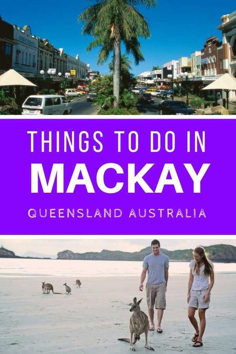 Things to do in Mackay #australia #mackay #queensland #thingstodo #kangaroo Mackay Australia, Mackay Queensland, Holidays Abroad, Australia Itinerary, Australia Travel Guide, Oceania Travel, Airlie Beach, Destination Ideas, Visit Australia