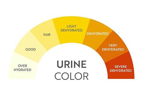 Pee Chart, Pee Color, Color Of Urine, Urine Color, Birth Colors, Shingle Colors, Rustic Colors, Medical Education, Dehydration