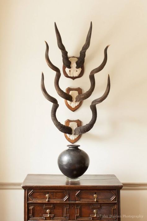 baskerville_home259 Horn Decor, Animal Horns, Rustic Style Furniture, Taxidermy Decor, Horns Decor, Trophy Rooms, African Decor, Dark Interiors, Bachelor Pad