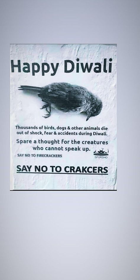 This #Diwali say no to crackers please. Crackers Diwali, Say No To Crackers, Happy Diwali, Diwali, Crackers