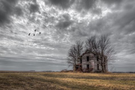 Explore JMD Pix's photos on Flickr. JMD Pix has uploaded 887 photos to Flickr. Abandoned Nature, Abandoned Farmhouse, Photography List, Abandoned Photography, Grain Elevators, Farm Scenes, Image Composition, Lost Forever, Old Abandoned Houses