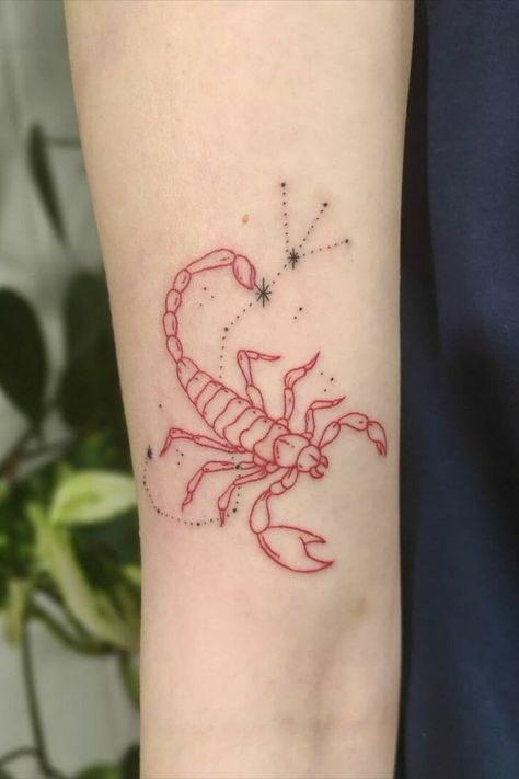 Scorpio Sign Tattoos, Scorpio Zodiac Tattoos, Polish Tattoos, Butterfly Tattoos On Arm, Horoscope Tattoos, Capricorn Tattoo, Scorpio Tattoo, Tattoos Mandala, Taurus Tattoos