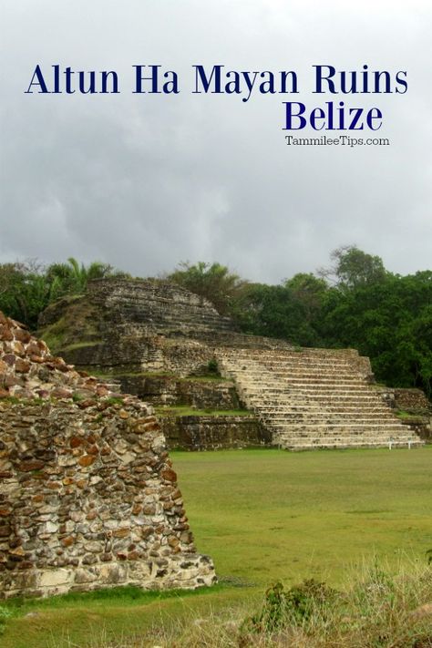 What to expect on the Altun Ha Mayan Ruins Shore Excursion in Belize. Explore a Mayan city created around 900 BC. Altun Ha Belize Mayan Ruins, Belize Vacations, Mayan Cities, Belize Travel, Mayan Ruins, Shore Excursions, Belize, Wonderful Places, United States