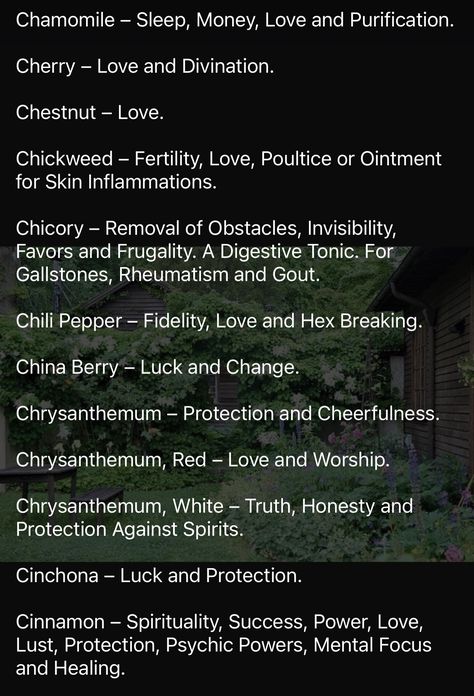 Witches Herbs, Facebook Cover Photos Flowers, Witch Info, Hoodoo Conjure Rootwork, Magickal Correspondences, Kitchen Witchcraft, Herbal Witch, Hoodoo Magic, Hoodoo Conjure