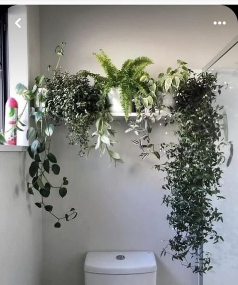 Hanging Plants Against Wall, Plants Above Bathroom Mirror, Wall Planter Bathroom, Shower With Plants Inside, Bathroom Plant Wall, Bathroom Plants No Sunlight, Bathroom Plants Decor, Canvas Art Painting Acrylic, Indoor Plant Wall