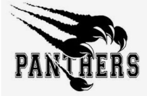 School Spirit Shirts Designs, Football Spirit, Panther Shirts, Staff Directory, Panther Logo, School Spirit Wear, Panthers Football, Play Basketball, School Spirit Shirts