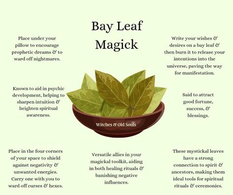 Folklore, Customs, Legends and Mythology. | Bay Leaf Magick 🍃 | Facebook Bayleaf Magic, Cleansing Mantra, Crystals For Plants, Bay Leaf Magic, Herbs For Witches, Burn Bay Leaves, Witch Knowledge, Egg Cleanse, Bay Leaf Tea