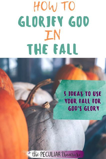 Fall Bible Study For Kids, Fall Devotionals For Women, Christian Autumn, Community Service Ideas, Encouragement For Today, Christian Fall, Christian Activities, Family Devotions, Bible Study For Kids