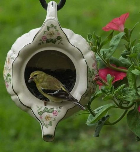 Teapot Garden, Teapot Birdhouse, Compost Tea, Urban Decor, Bird Houses Diy, Garden Decorations, Deco Floral, Bird Feeder, Garden Crafts